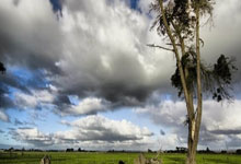 体球即时比分网看足球赛事有哪些实用价值？