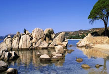 竞彩比分网能为体育爱好者带来哪些价值？